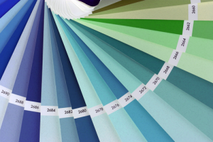 Pantone Numbering Printing